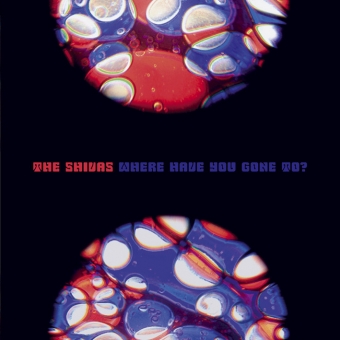 The Shivas "Where Have You Gone To?" CD 